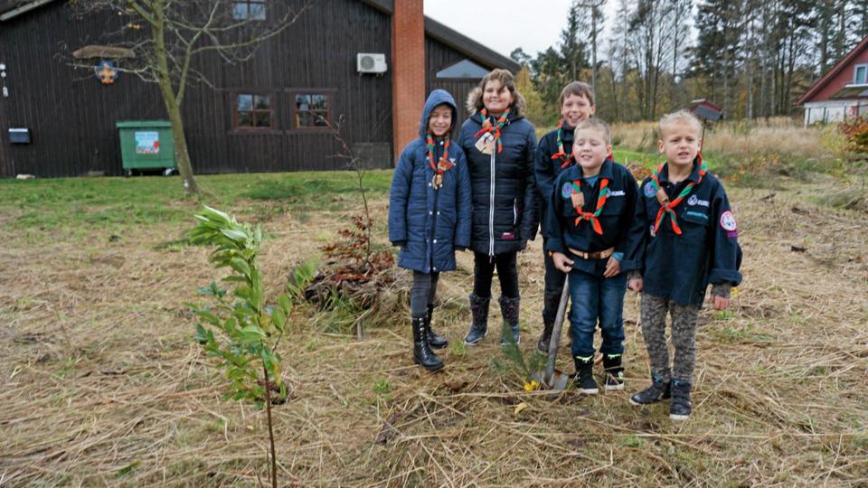 Fem DDS-spejdere: Laura Rulle, Mille Hesberg, Emil Rulle, Jens S. Jæger Jeppesen samt Jeppe Bak Højbjerg - planter træer.