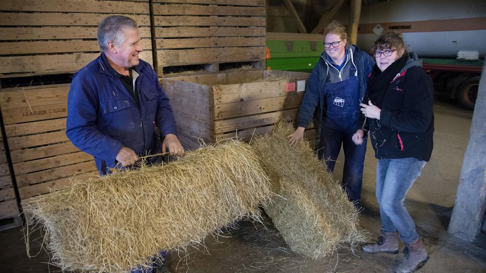 Høet til familiens seks heste er allerede ankommet. Nu mangler bare hestene. Gijsbertus Claas Wiertsema, datteren Greetje og Lenamartina Wiertsema er klare til indflytning. Foto: Peter Mørk <i>Foto: Peter Mørk</i>