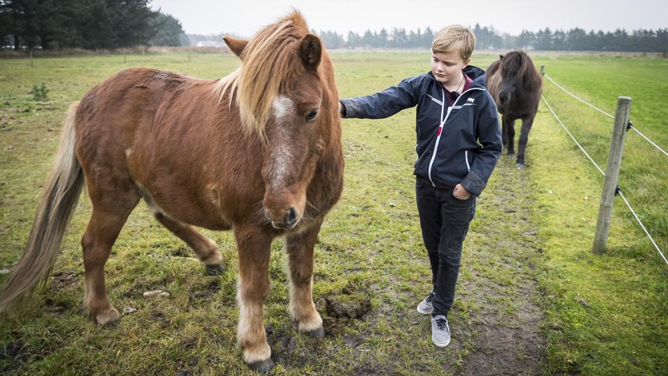 Galleri - Tryk og se alle billederne.