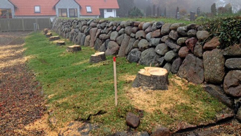 Ti markante træer er blevet fældet ved Sct. Hans Kirke. Privatfoto