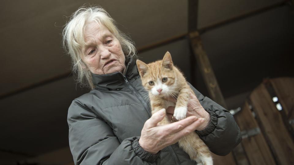Birgit Steffensen med kattekillingen, der pludselig dukkede op i hendes hestestald for en uge siden. <i>Foto: Henrik Bo</i>