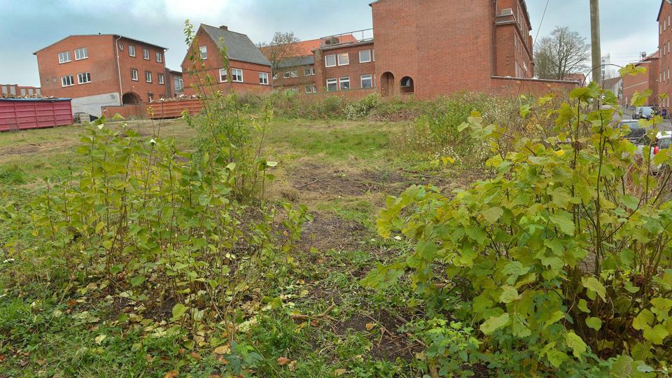 Thisted Bolig har i mange år ønsket at bebygge den såkaldte Caroksminde-grund mellem Kastet og Munkevej i Thisted - nu fremsender de ansøgningen igen vedlagt en ny statistik for behovet for de planlagte 20 boliger. Arkivfoto