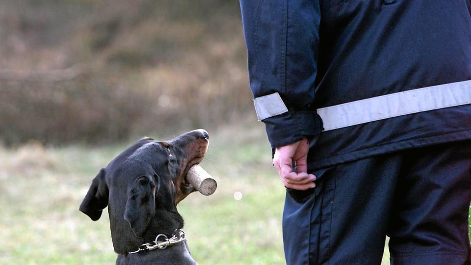 Politiets hunde kom på arbejde i Øster Hurup natten til fredag. Arkivfoto: Kim Dahl Hansen