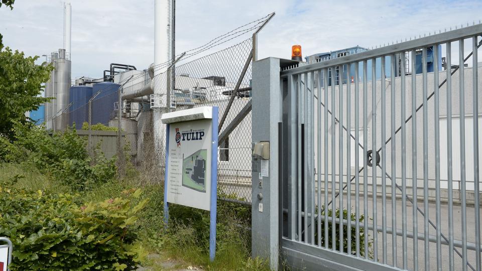 Tulip skulle senest 1. august i år have opsat et vandgardin, der skulle sikre omgivelserne i tilfælde af udslip af ammoniak, men det er nu blevet et halvt år forsinket. Arkivfoto: Grete Dahl