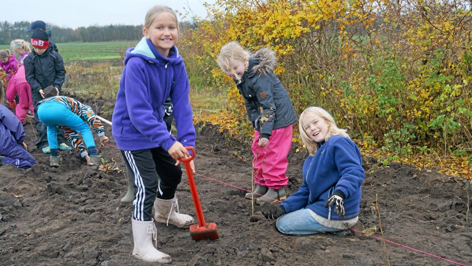 Galleri - Tryk og se alle billederne.