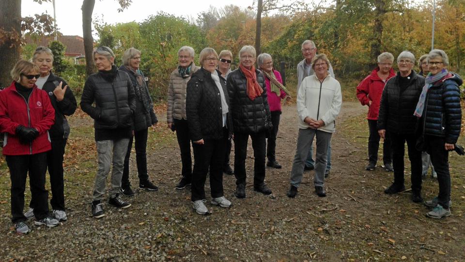 En frisk gåtur på ca. fire km eller 45 minutter i Benefits lokaler kan gøre underværker. Privatfoto.