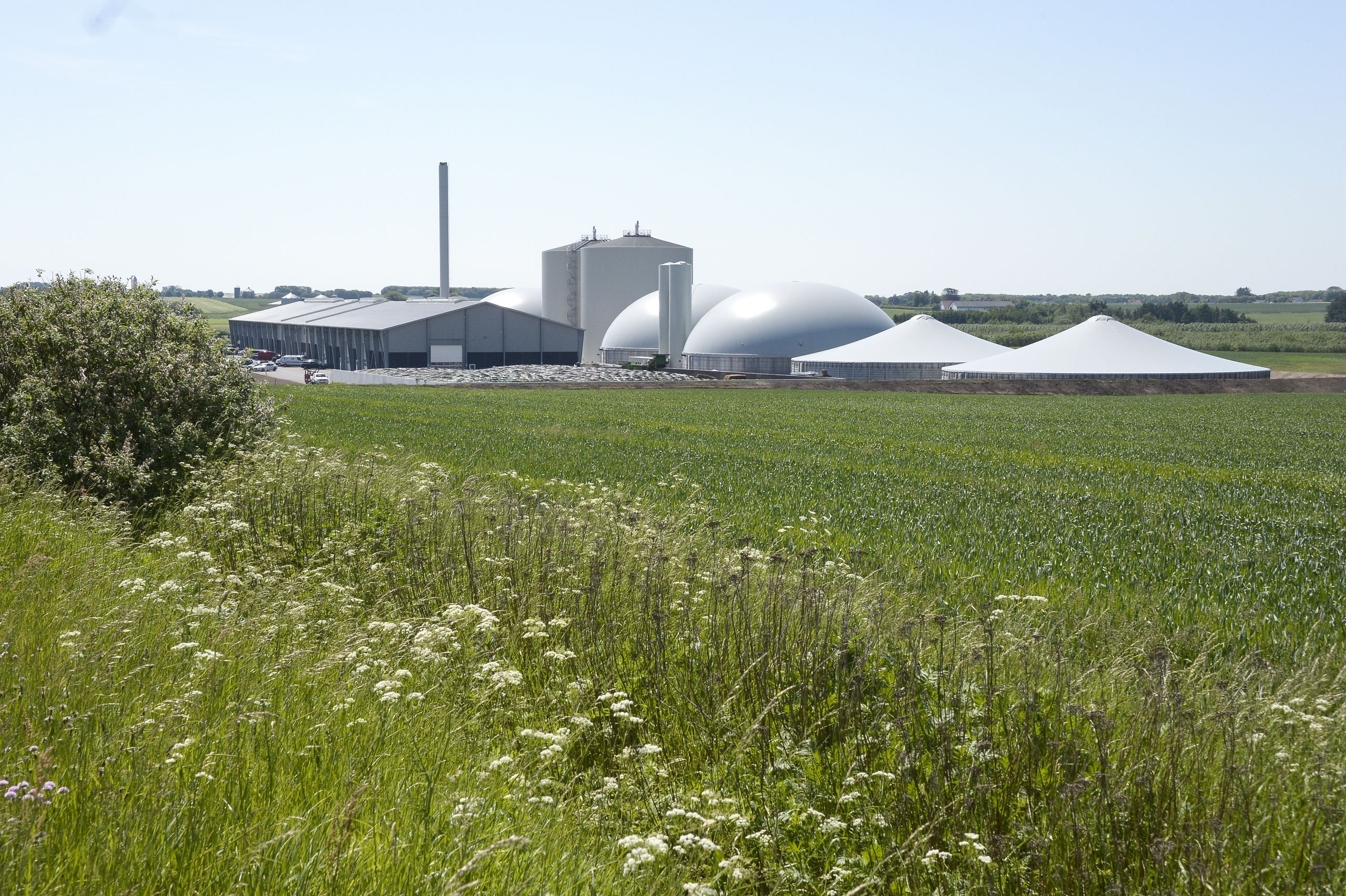 Biogas i Hjørring sat i stram snor: Syv anlæg er nok