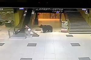 Video: Vild bjørn på udflugt i indkøbscenter
