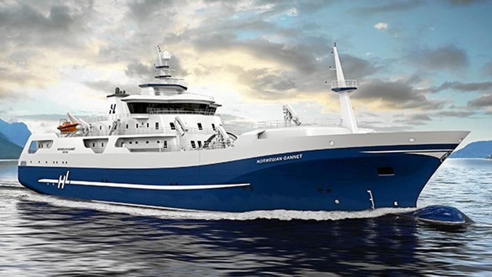 Norwegian Gannet kan forsat sejle ferske laks fra de norske laksefarme og direkte til Hirtshals Havn. Illustration: Hav Line