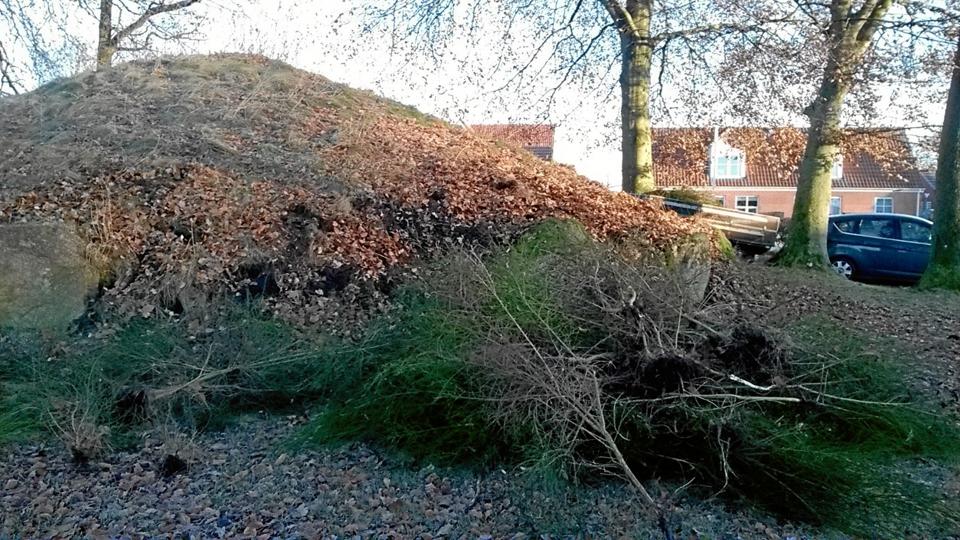Galleri - Tryk og se alle billederne.
