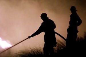 Brand i plantage udløste storalarm