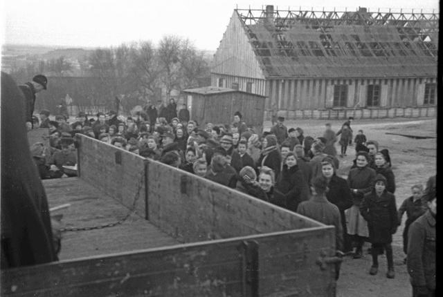 Billedet er fra flygtningelejren i Frederikshavn, hvor en lille del af de omkring 250.000 tyske flygtninge, der var i Danmark efter krigen, boede. På det tidspunkt var der ikke internationale regler, der påbød lande at behandle flygtninge anstændigt, og den danske regering ville allerhelst bare have sendt flygtningene til deres krigs- hærgede hjemland. Men det afviste englænderne, der havde nok at holde styr på i Tyskland, og derfor måtte regeringen nødtvunget acceptere flygtningene.