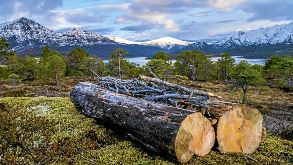 Galleri - Tryk og se alle billederne.
