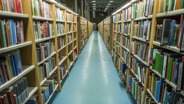 Populær bog helt i top: Her er bibliotekernes 10 mest reserverede bøger