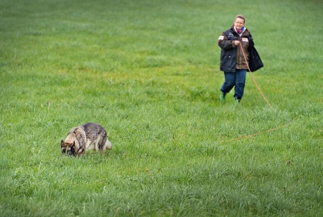 Eva Dybro fra Hjørring og hendes hund Too Fast Uni er de første på DM-sporprøven på græs. Føreren må ikke korrigere hunden det mindste. Den skal selv holde snuden lige i sporet, som den er trænet til.