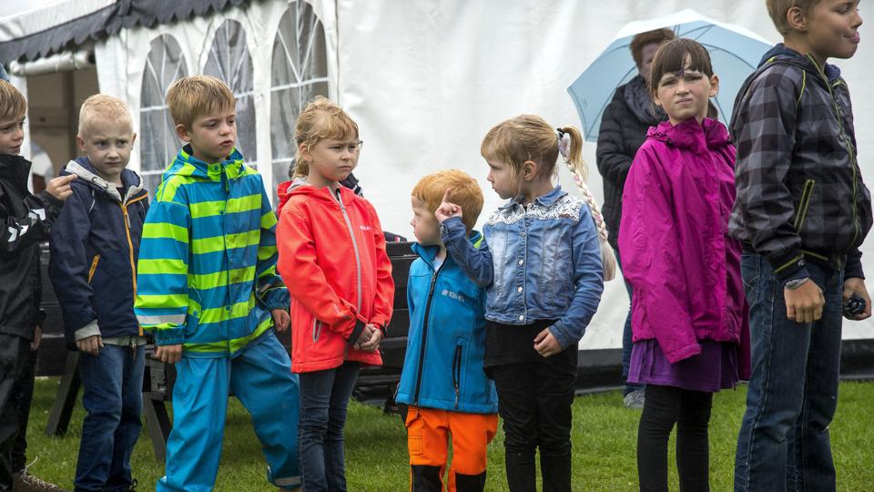 Lidt regnvejr slog ikke Suldrups børn af pinde - de stod i kø for at prøve elastik-gyngen. Foto: Laura Guldhammer <i>Laura Guldhammer</i>