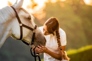5 tegn på at din hest har smerter