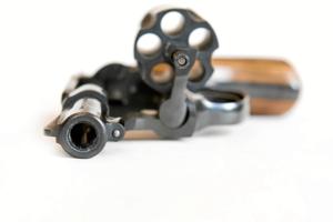 Dømt: Skulle bruge revolver til at skyde ræv