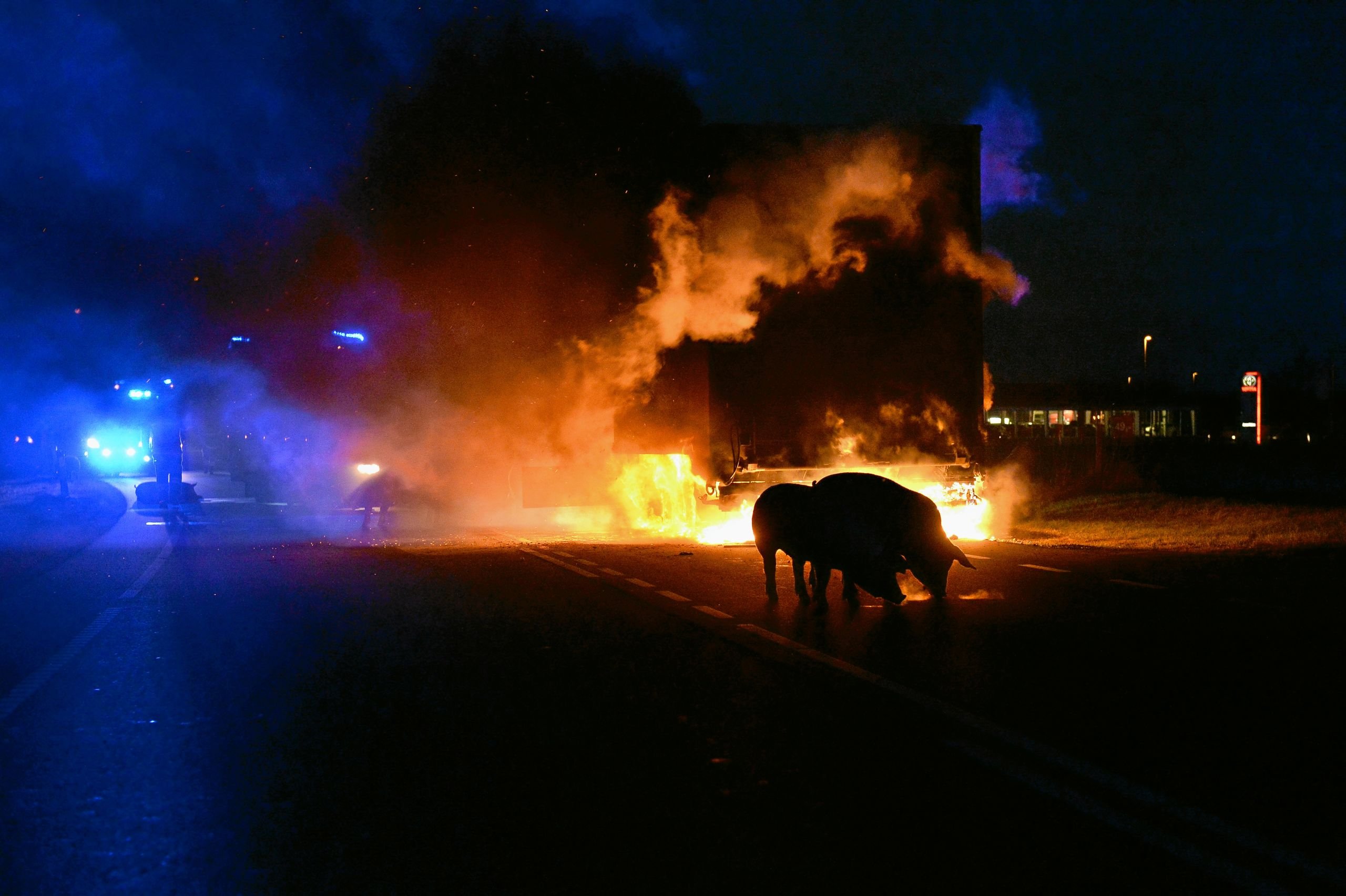 Brand i grisetransport - grise blev lukket ud
