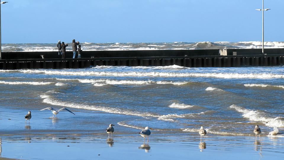Nordjylland mister turister fordi man satser for entydigt på sommeren i stedet for at servicere turisterne hele året. Arkivfoto: Kirsten Olsen <i>Kirsten Olsen</i>