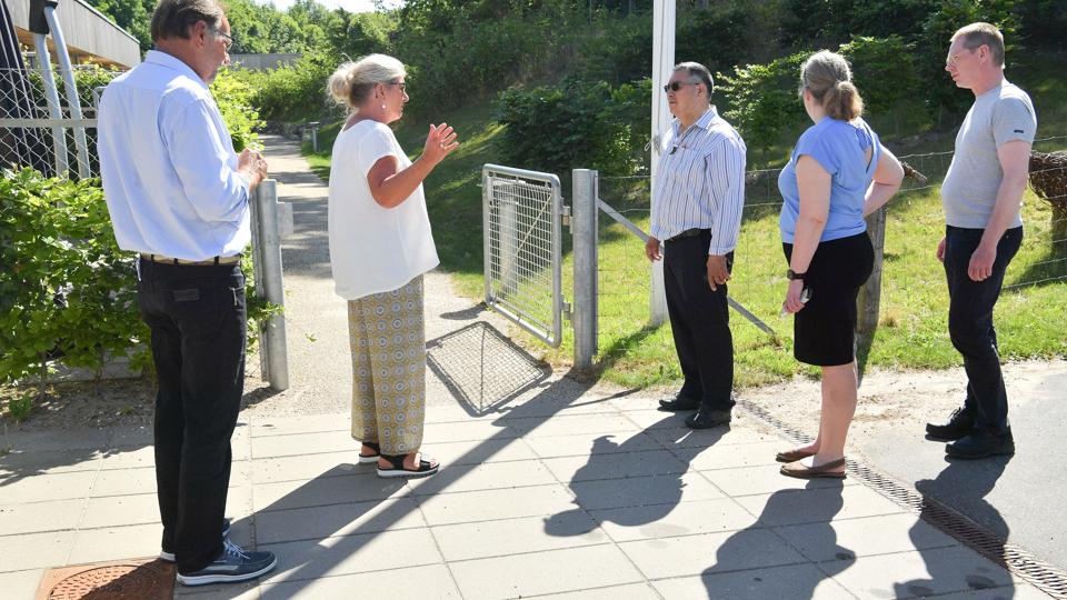 Galleri - Tryk og se alle billederne.