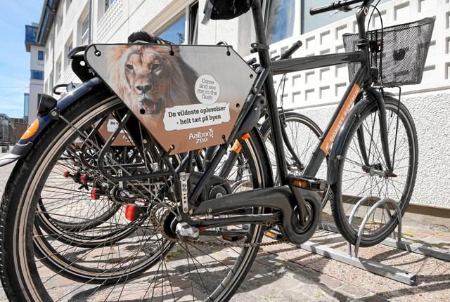 Donkey Republic er et globalt delecykelfirma, der er startet i Danmark og nu også findes i Aalborg. Gennem appen kan brugere finde og leje en cykel i flere europæiske byer og resten af verden. Konceptet er simpelt: Lej og lås cyklen op med mobilen. Privatfoto