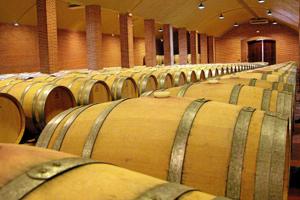 Masser af stjerner efter vin fra Vega-Sicilia