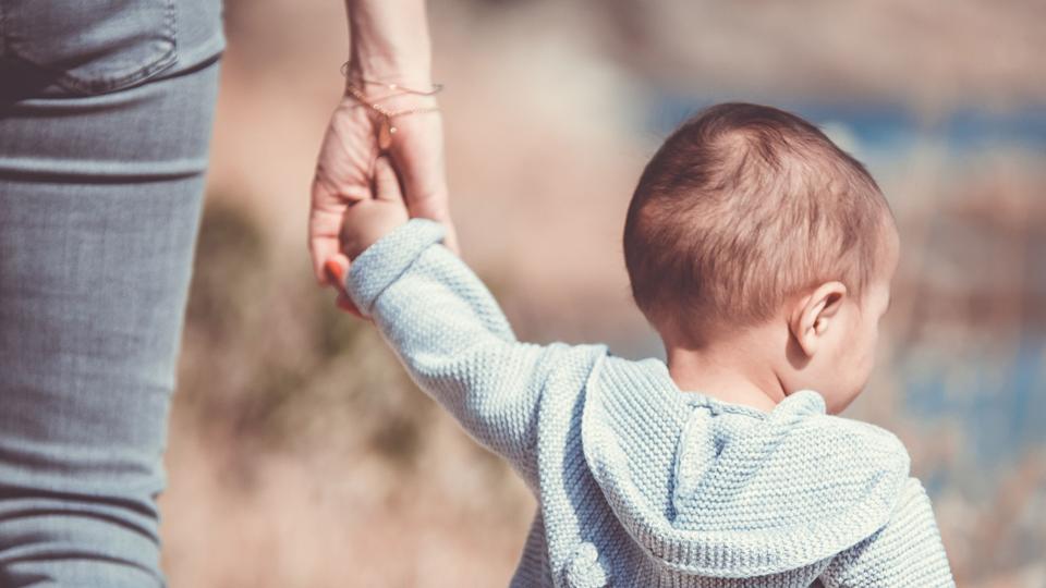 Nordjyske politikere vil gerne afhænde de tunge tvangsfjernelser. Foto: Guillaume de Germain/unsplash.com