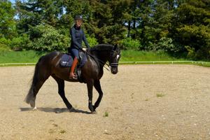 Den NORDJYSKE idrætspris: Thybo tager styringen fra hesteryg