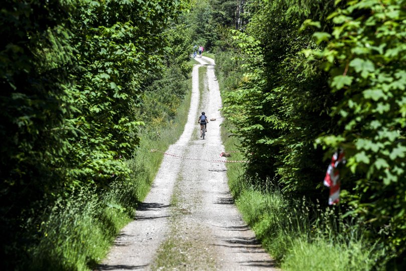 P-pladsen ved Årbjerg er udgangspunkt for både vandreruter og mountainbikespor, og den er stor nok til at rumme de besøgendes biler.Arkivfoto: Laura Guldhammer <i>Laura Guldhammer</i>