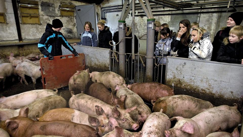 For mange danskere er det en udfordring at skulle arbejde på andre tidspunkter end mandag-fredag fra klokken 7-15 - nu gider østeuropæerne heller ikke. Arkivfoto: Claus Søndberg <i>Pressefotograf Claus Søndberg</i>