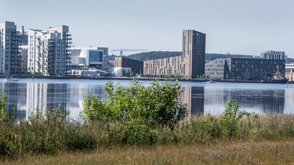 Cykel- og gangsbroen til 300 mio. kr. skal, hvis den lader sig realisere, forbinde havnefronten ved Musikkens Hus og Stigsborg. <i>Foto: Andreas Falck</i>
