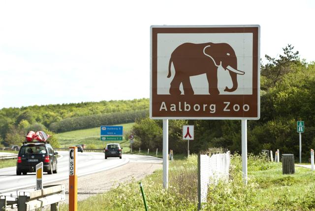 Store Vildmose kommer i selskab med blandt andet Aalborg Zoo.Arkivfoto