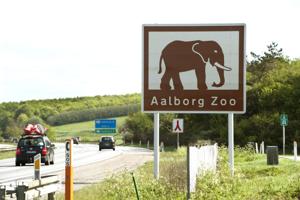Frustration på Læsø: Hvad er forskellen på Zoo og et tangtag?