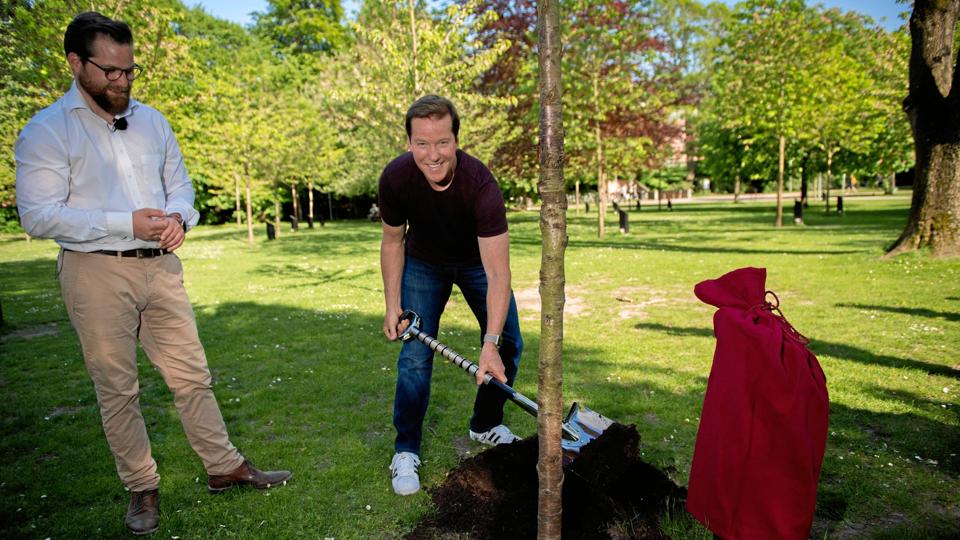 Jeff Dunham plantede tirsdag et træ i Kildeparken i Aalborg. Til venstre AKKC-direktør Nicolaj Holm. PR-foto