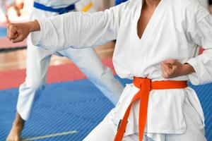 Aalborg skal afholde EM i karate