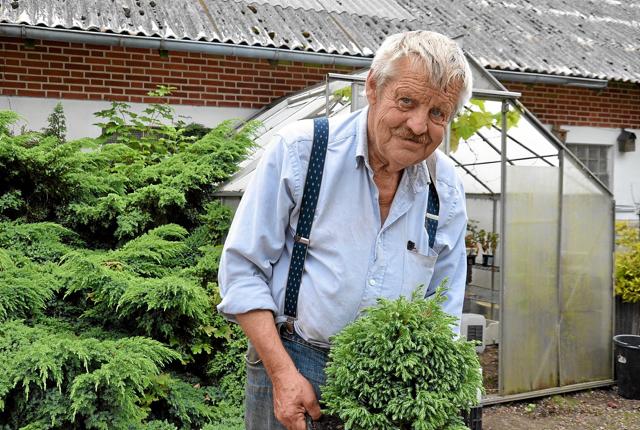 73-årige Erik Bækgaard Madsen har igen slået dørene op til Arden Planteskole. Foto: Jesper Bøss <i>Jesper Bøss</i>