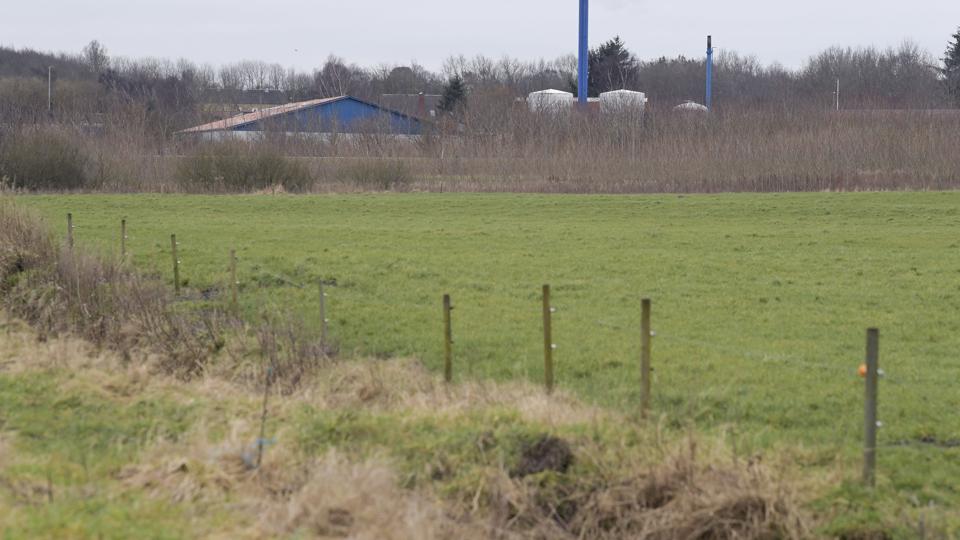 Et 1,6 hektar stort areal nord for Sønderholm Varmeværk skal dække en fjerdedel af varmeforbruget hos byens 300 husstande.Foto: Bente Poder <i>Bent Bach</i>