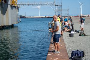 Skaber paradis for lystfiskere i Frederikshavn: Sådan vil man beskytte dem mod havnens farer