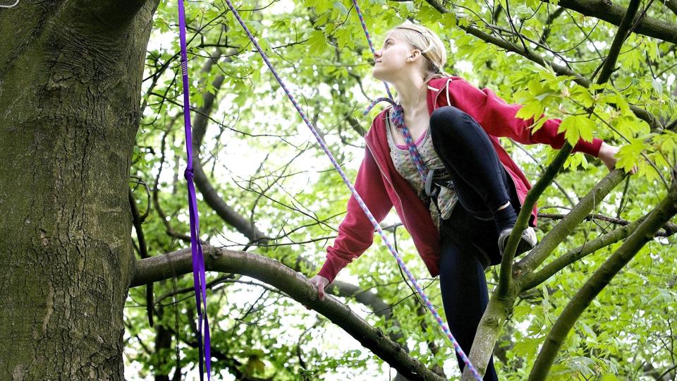 Man kan prøve træklatring og et hav af andre aktiviteter, når Nationalpark Thy holder Vildmarksdage ved Nors Sø hver onsdag i sommerferien. Ideen lader til at falde i god jord, for der er allerede bestilt 175 billetter ud af de 400, der sælges. Arkivfoto: Lars Pauli