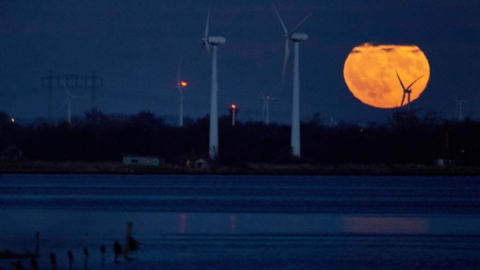Supermåne ved Limfjorden i Aalborg. Foto: Henrik Bo <i>Foto: Henrik Bo</i>