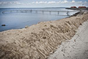 Pas på badevandet: Giftige alger konstateret flere steder i Nibe-området