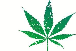 Cannabis - Fup eller mirakel?