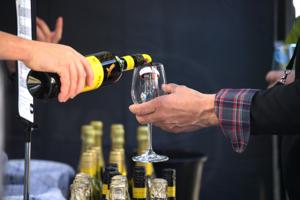 Nordjysk Vinfestival vokser: Stolt borgmester skålede med gæster