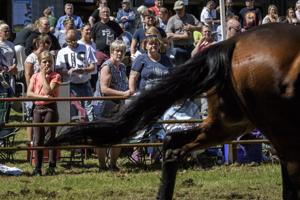 Country og hestevæddeløb i Asaa