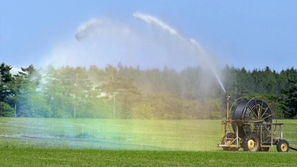 Aalborg Kommune vil i højere grad til at genbruge vandet, så man eksempelvis ikke bruger rent drikkevand til markvanding, men i stedte bruger vand fra højere grundvandslag, der måske ikke er egnet til drikkevand. Arkivfoto