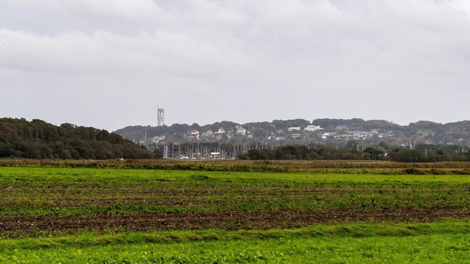 Aktionsgruppen Egholm-Motorvejen Nej Tak spurgte på det seneste byrådsmøde politikerne om, hvordan man kan være en del af Sustainable Cities netværket og gå ind for en motorvej over den økologiske ø Egholm. Arkivfoto: Laura Guldhammer