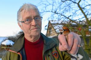 William fra Pandrup har 60 års jubilæum: Har sat ringe på 164.000 fugle