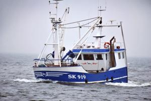 Fiskeripolitik i småtingsafdelingen: Udfordringer for dansk fiskeri er vigtigere end licenser