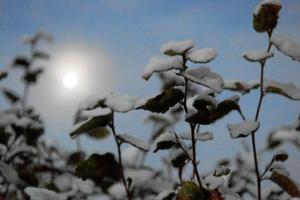 Vinter på vej: Frost og sne over Nordjylland